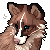 Phyllodough's avatar