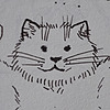 PicavaCat's avatar