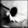 PiercingSilence's avatar