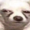 PierdolonaCyrylica's avatar