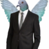 pigeon000's avatar