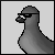 pigeonini's avatar