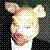 Pigler's avatar
