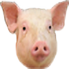PigUD's avatar
