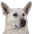 Pimpdog92's avatar