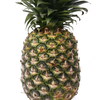 pineapple1927291's avatar