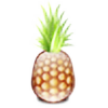 pineapplejoey's avatar