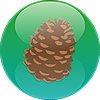 Pineconium's avatar
