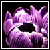pink-kipper's avatar