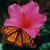 pinkgurl84's avatar