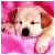 Pinkypup's avatar
