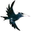PixeledBird's avatar