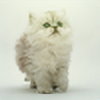 PixlDesigns's avatar