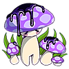 pluckyshroom's avatar