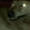 Pneumawolf's avatar
