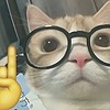 pngcats's avatar