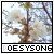 poesysong's avatar