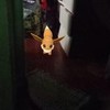 pokemon1240's avatar