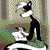Polecat-Skunk's avatar