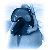 poliguin's avatar