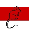 PolishaMyshka's avatar