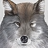 PollywogDesigns's avatar
