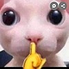 PolycraftPal's avatar