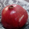 PomegranateBoi's avatar