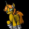 Pony-cat-lover's avatar