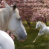 Ponys133's avatar