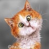 pookiecatmom's avatar