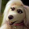 poopoonoopie's avatar