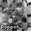 Poppeh-Chan's avatar