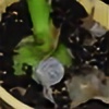 porpisdorpis11's avatar
