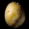 Potato-Casserole's avatar