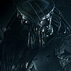predator49's avatar