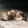 Pretty-Kitty8's avatar