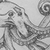 Prinz-Octopus's avatar