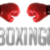 proboxinggear's avatar