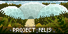 Projekt-Felis's avatar