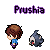 Prushia's avatar