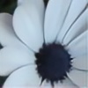 prussiancrimsonheart's avatar