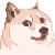puffini's avatar