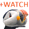 puffinwatch-plz's avatar