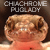 PugLady's avatar