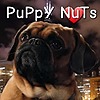 PuPpYNuTs01's avatar