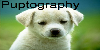 Puptogoraphy's avatar