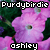 purdybirdie's avatar