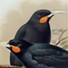 Purexeno63's avatar