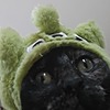 Purgacell's avatar